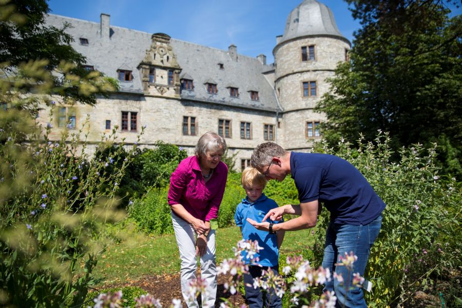 Tee, Aufgüsse oder auch Salben: Die Kräuterbeete im Burggarten der Wewelsburg wurden nach Pflanzlisten der Jesuiten angelegt (Foto: Lina Loos für das Kreismuseum Wewelsburg)